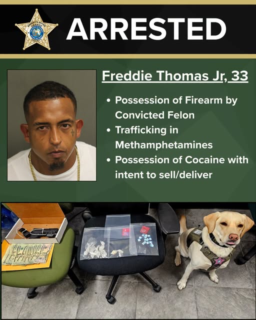 Orange County Sheriff arrest graphic showing Freddie Thomas Jr., alleged charges, seized substances, cash, a firearm and K-9 Nala