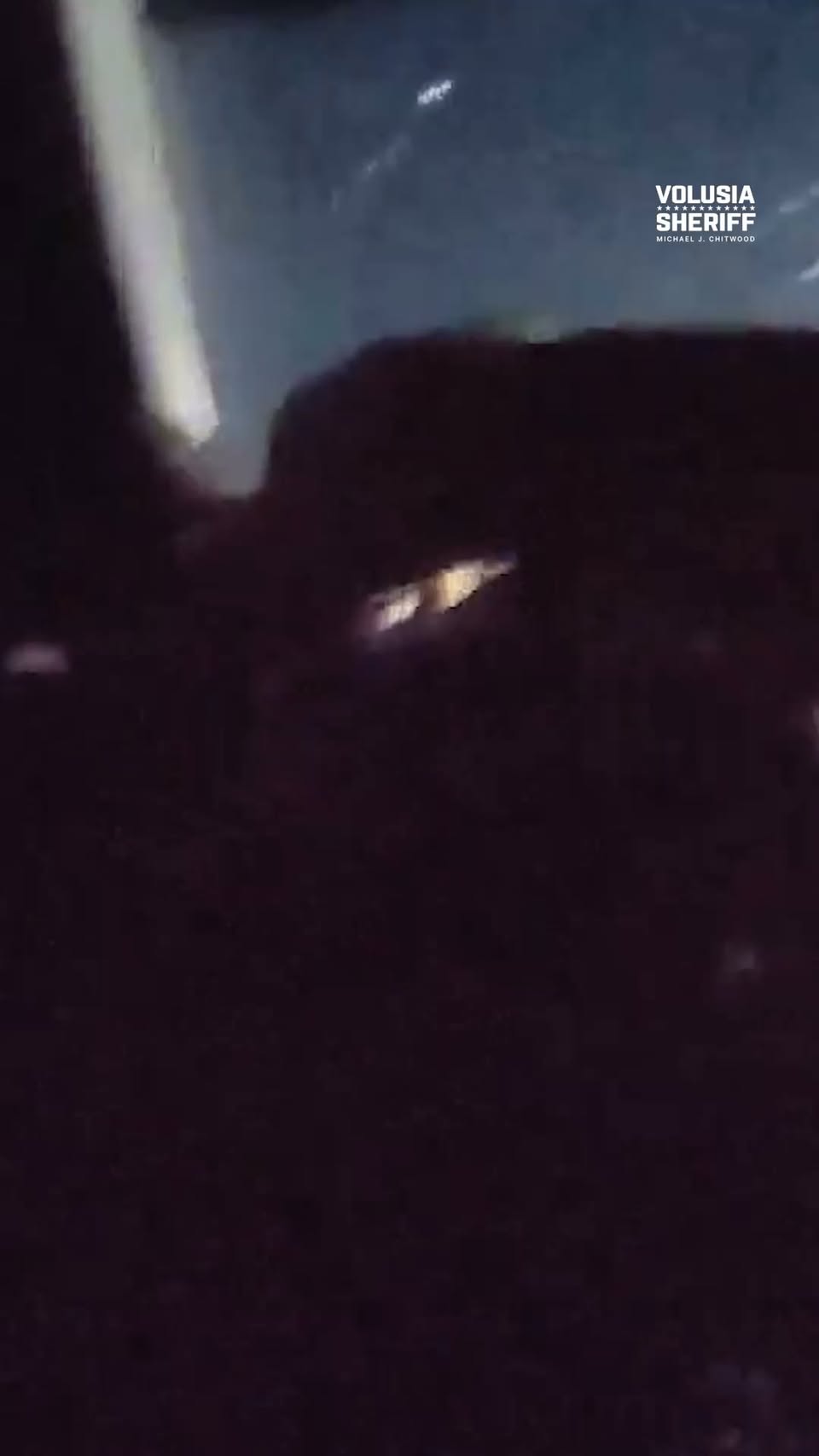 Dark nighttime still from the Volusia Sheriff’s Office K-9 arrest video with the agency watermark
